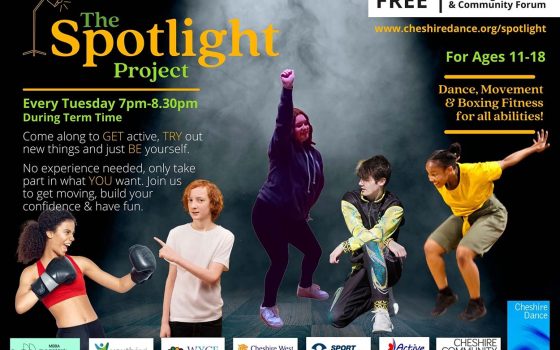the lighthouse project flyer ft
